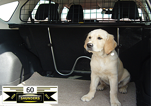 car dog guard headrest mounted