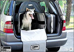 Travel with Pets | Pet Transport 